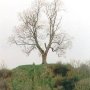 Anglo-Norman Mottes, North Kildare