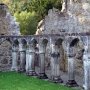 Portumna Abbey, County Galway